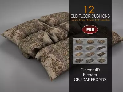 Old Floor Cushions 3D model
