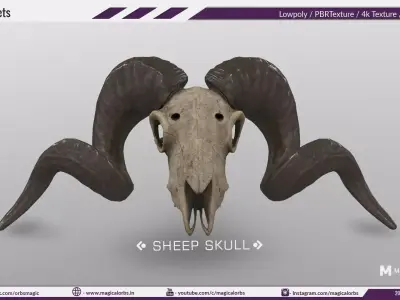 Sheep Skull 3d Model Low poly Game Ready Low-poly 3D model