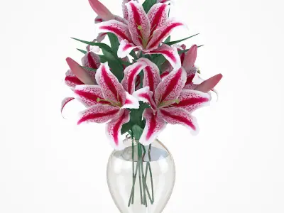 Lily flower 3D model