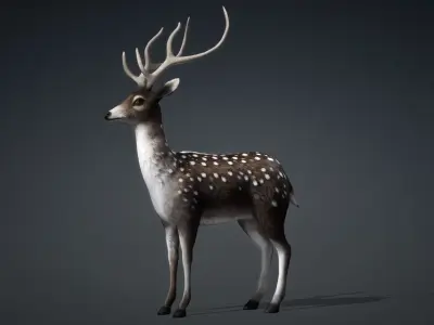 Deer-C3 3D model