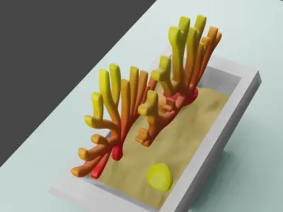 Coral show piece Free 3D model