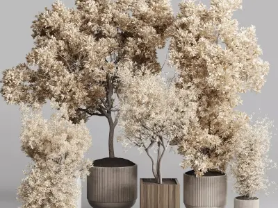 Indoor plant autumn set 333 concrete vase plant tree bush pot  Low-poly 3D model