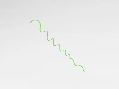 Ribbon v1 006 Low-poly 3D model