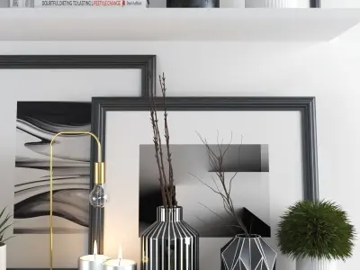 set206 shelf with frames and plants 3D model