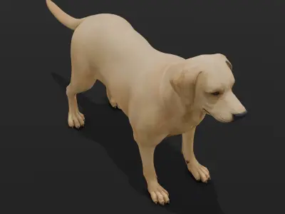Dog Animated and Rigged Low-poly 3D model