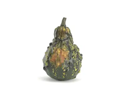 Decorative Pumpkin Gourd 3 3D model