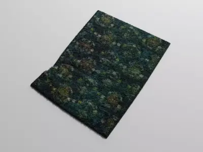 Green Carpet 3D model