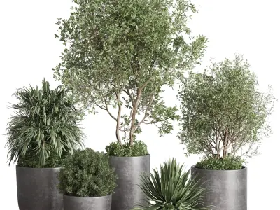 outdoor plant set 160 pot old tree bush palm in Low-poly 3D model