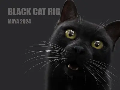 Black Cat RIG Xgen core 3D model