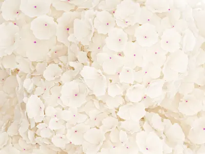 Solemn bouquet of white flowers in a vase with hydrangea 369 3D model