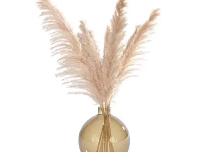 dried flowers set - pampas 3D model