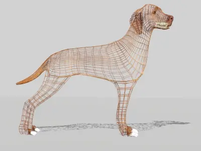 hungarian vizsla dog Low-poly 3D model