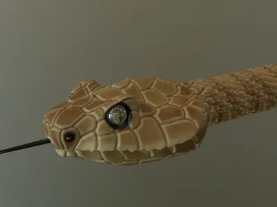 Realistic Rattlesnake Model statue of snake 3D model