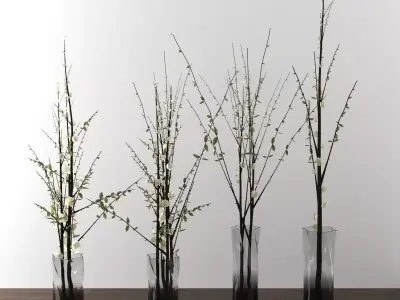 dry decorative plant set 3D model