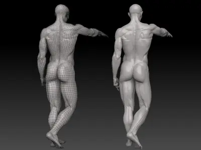 Houdon Ecorche  3D model