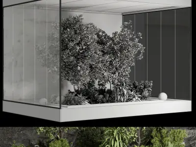 Plants Behind-Galss 06 - indoor plant garden set 436 Low-poly 3D model