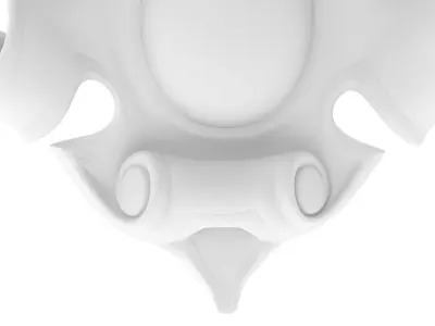 Classic Pattern 24 3D model