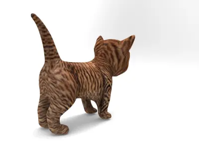 3D Cat low poly pet  Low-poly 3D model