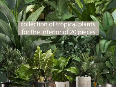 Collection of potted plants for the interior of 20 pieces NEW 3D model