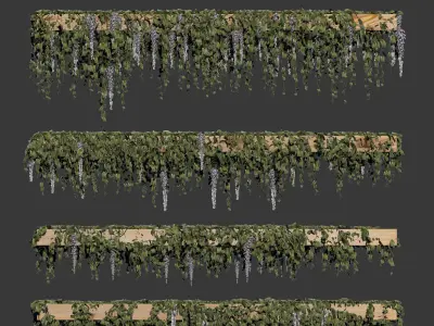 Wisteria blooming plant for beams or ceilings 3D model