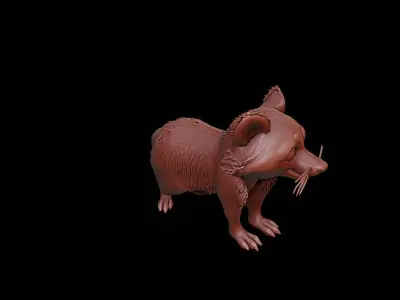 Raccoon Animal Sculpture 3D print model buy