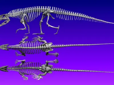 Postosuchus skelaton replica Triassic reptile  3D model