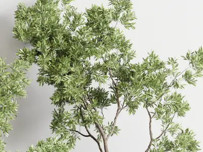  indoor outdoor plant 141 vase concrete wood old pot tree 3D model