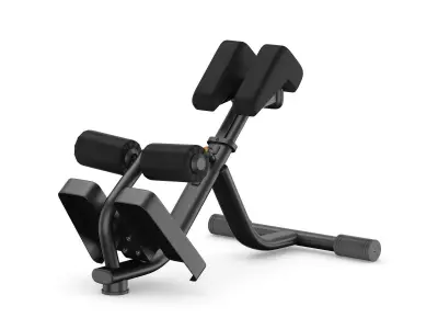 Technogym Element Lower Back Bench 3D model