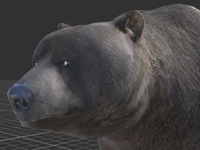 Bear Family 1 Low-poly 3D model