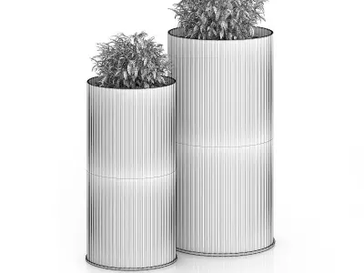 Two Plants in Large Pots 3D model