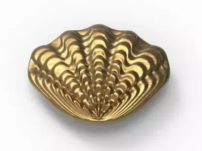 Shell-Shaped Shoe Ornament 3D print model