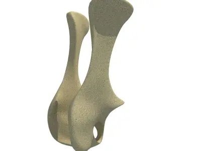 Animal Pelvis 3D model