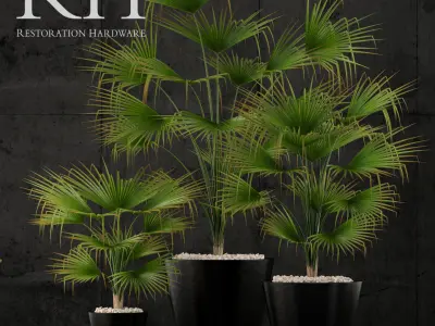 Plants vol 1 restoration hardware planters 3D model