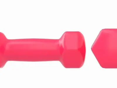 Dumbbell Hex 3D model