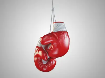 Boxing gloves 3D model