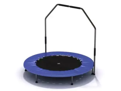 Black And Blue Round Trampoline 3D model