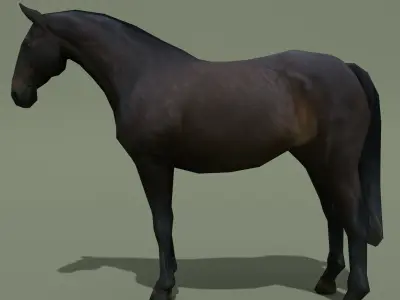 LowPoly Horse E Dark Bay Low-poly 3D model