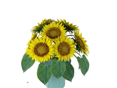 Sunflowers in a vase 3D model