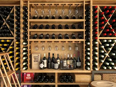 Wine Cellar 3D model