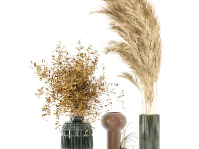 Dry plants 08 - Dried Plantset Pampas whit Glass vase  3D model