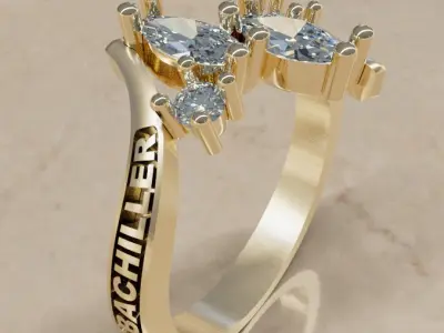 GRADUACION  Free 3D print model