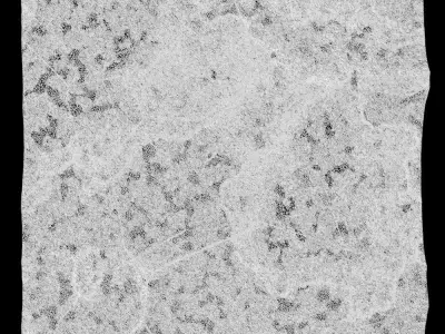 158-RockPanel rock 3D model