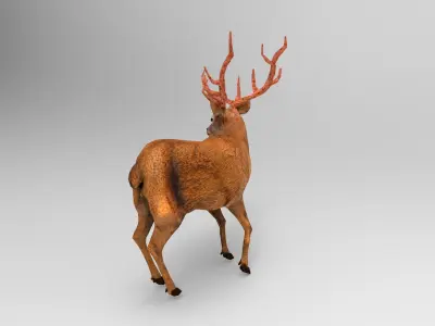 Red Deer Rigged Low-poly 3D model