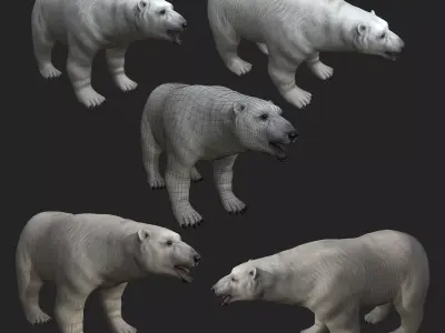 Next Gen AAA Polar Bear - high quality lowpoly game ready Low-poly 3D model