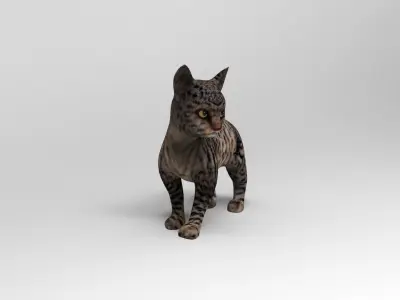 Black 3d Cat rigged and animated  Low-poly 3D model