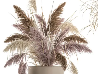 Decorative Bouquet of dried pampas grass 196 3D model