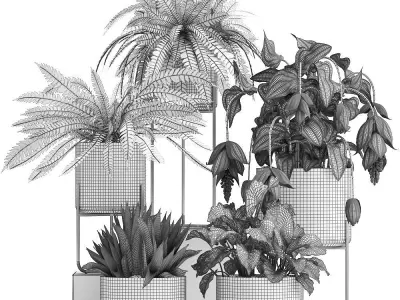 Collection of Exotic plants 3D model