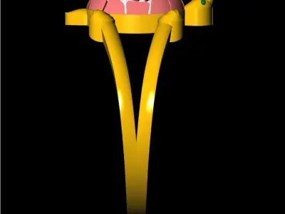 Simple Tortoise Ring - 10 3D print model