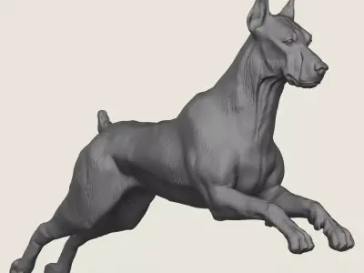 Doberman Dog Pose Collection 3D print model