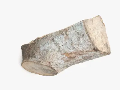 Log Fraxinus Low-poly 3D model